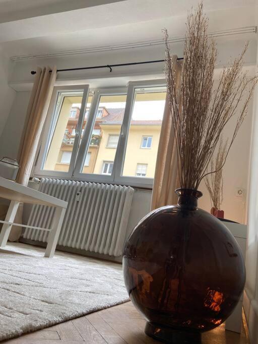 Charismatique Orangerie-10Min Parlement Eu-Wifi-Tv Apartment Strasbourg Exterior foto