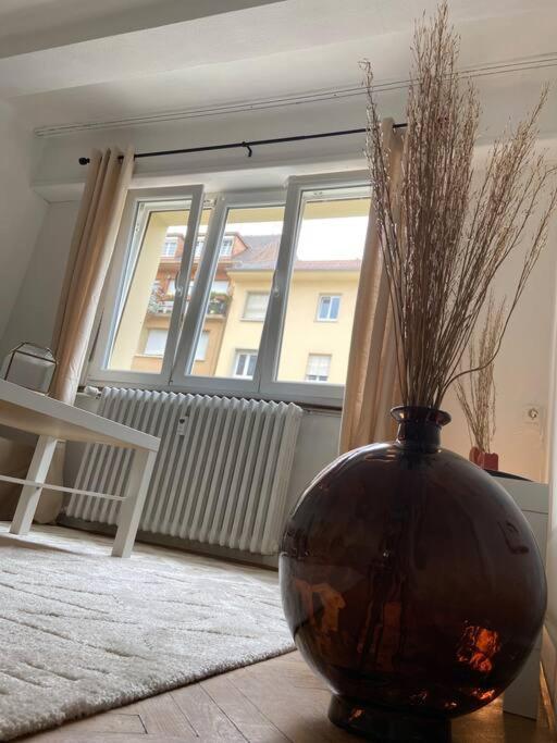 Charismatique Orangerie-10Min Parlement Eu-Wifi-Tv Apartment Strasbourg Exterior foto